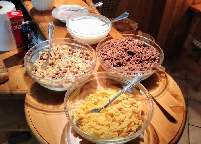 博霍达宾馆 3* Špindlerŭv Mlýn